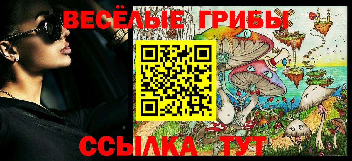 Псилоцибиновые грибы Psilocybe Новоалтайск