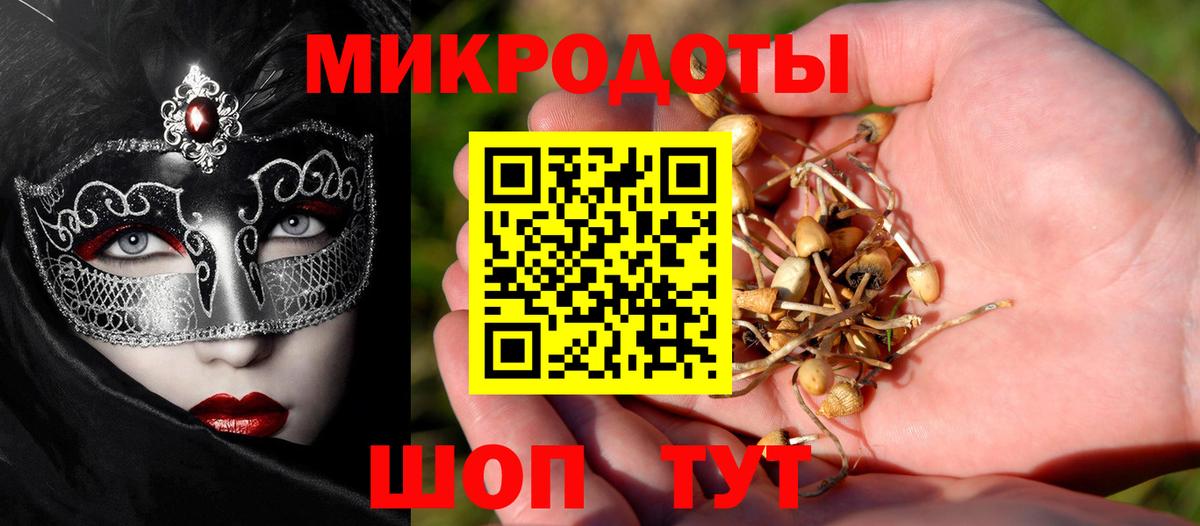 МЕФ Новоалтайск