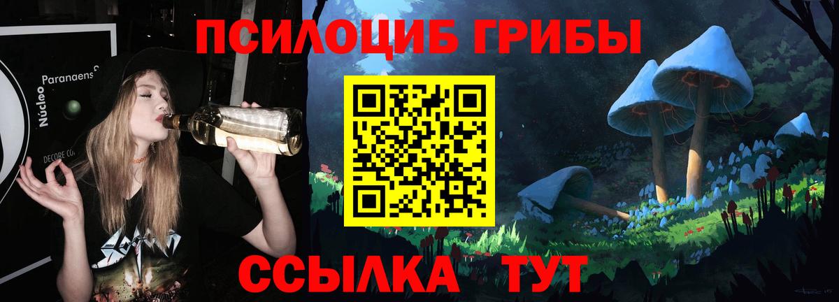 Новоалтайск  Псилоцибиновые грибы Psilocybine cubensis  Вход с VPN 